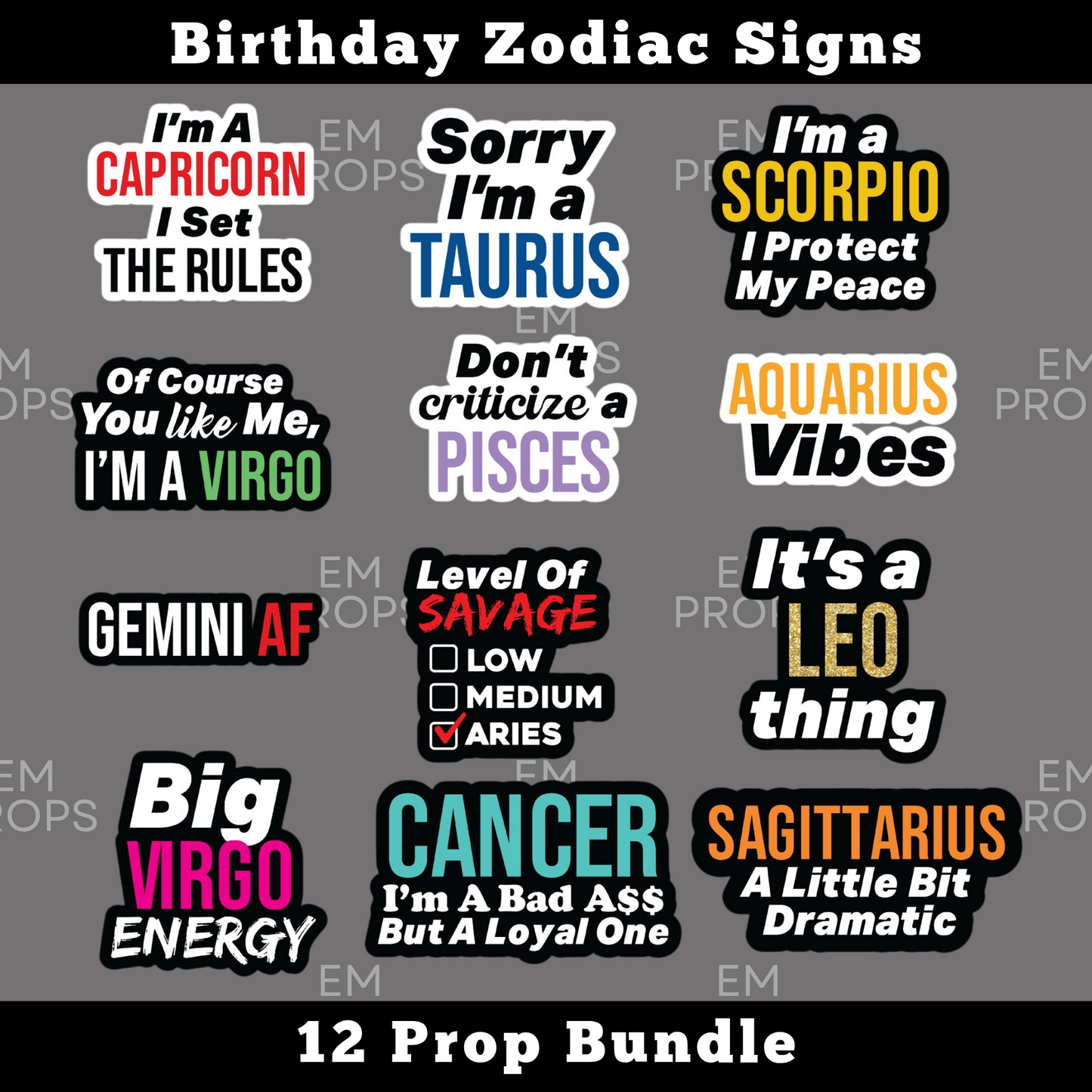 Birthday Zodiac Signs 12 Prop Bundle